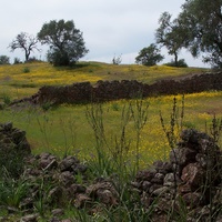 Photo de Espagne - Séville